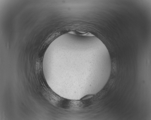X0000085010333200704021407