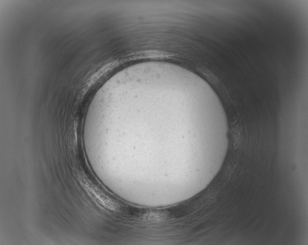 X0000085010350200704021406