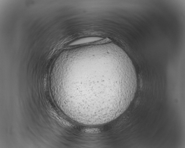 X0000085010357200704021407