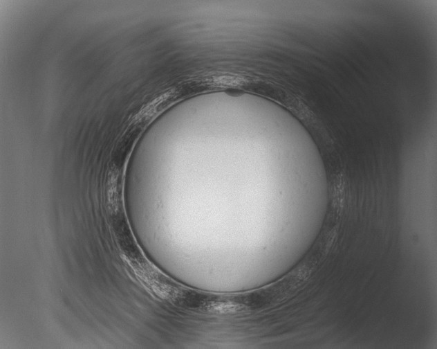 X0000085010360200704021407
