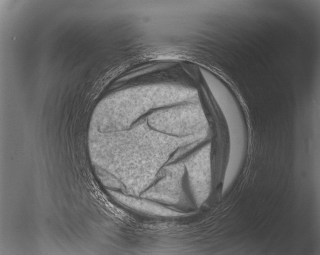 X0000085010385200704021406