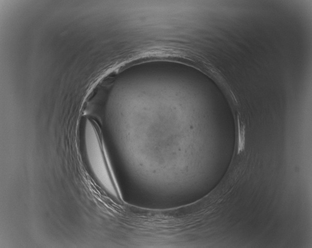 X0000085010387200704021406