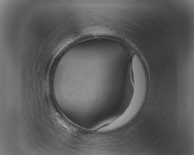 X0000085010391200704021406