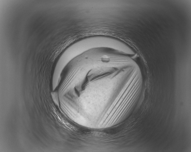 X0000085010393200704021406
