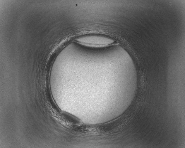 X0000085010395200704021406