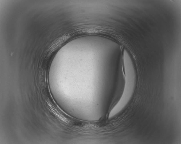 X0000085010397200704021406