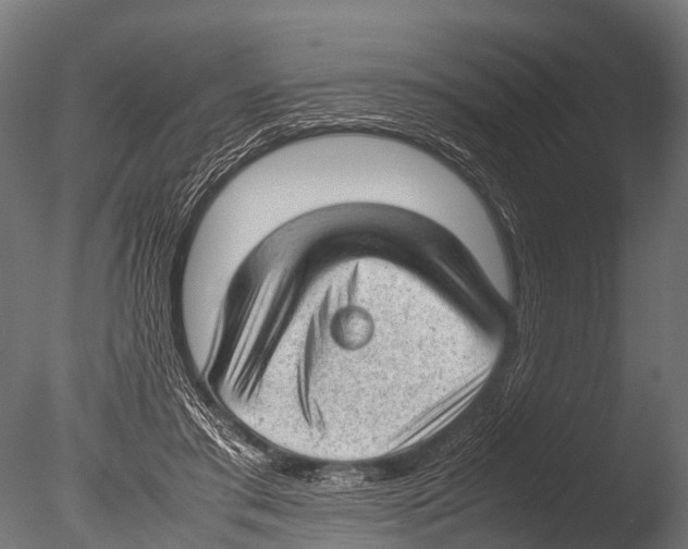 X0000085010405200704021406