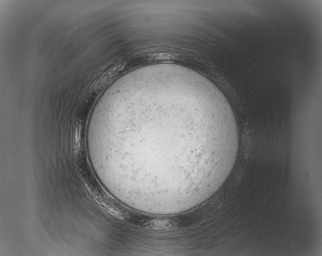X0000085010406200704021406