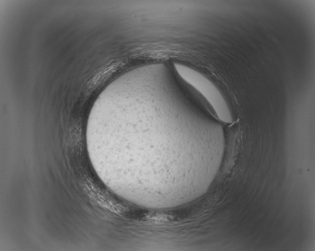 X0000085010407200704021406
