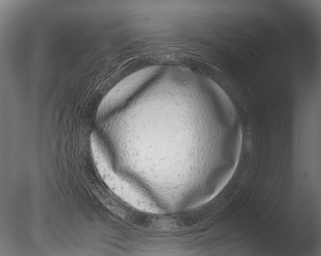 X0000085010409200704021406