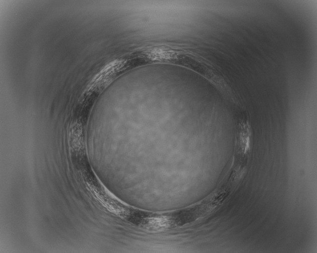 X0000085010411200704021406