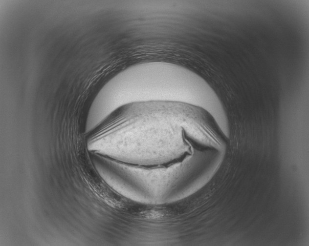 X0000085010412200704021406