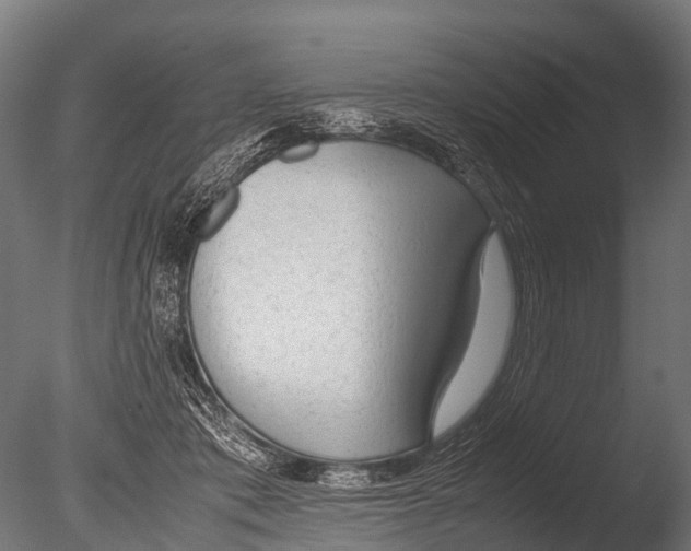 X0000085010413200704021406