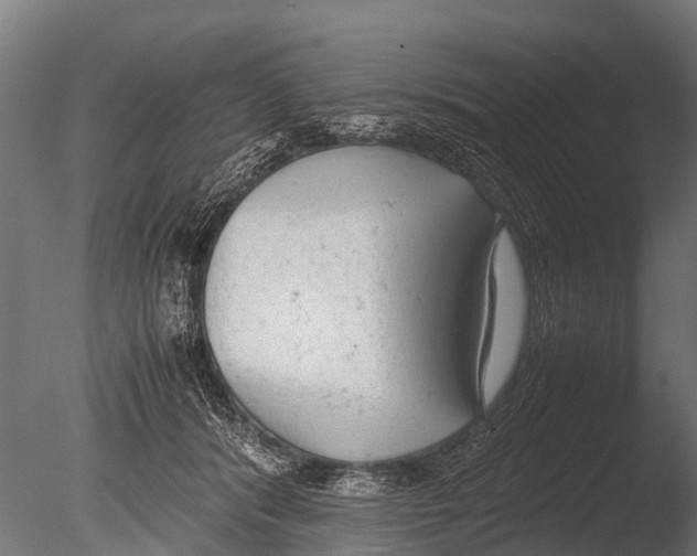 X0000085010416200704021406