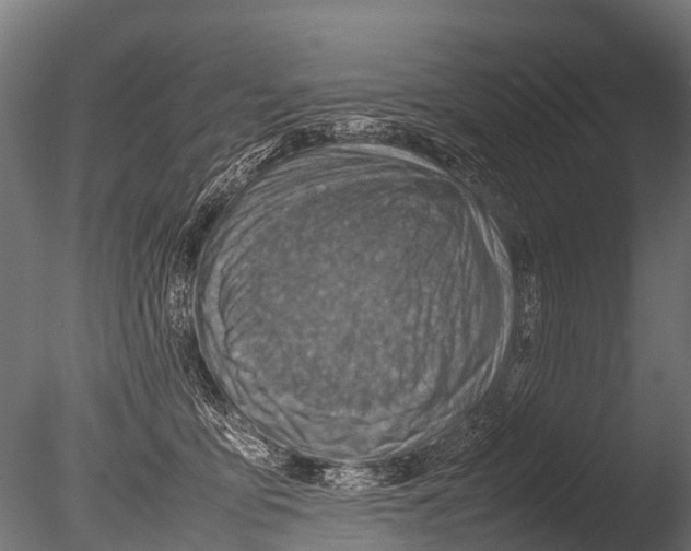 X0000085010419200704021406