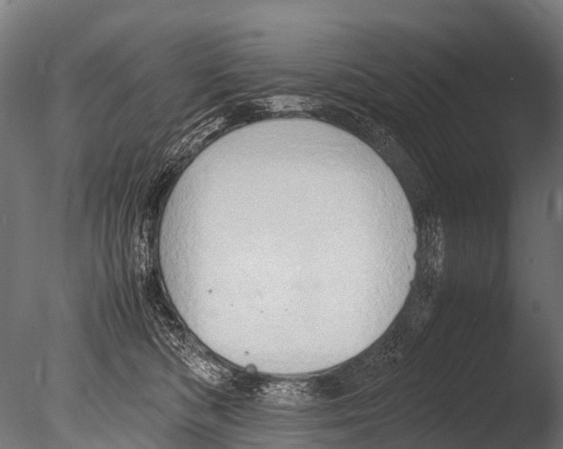X0000085010422200704021405