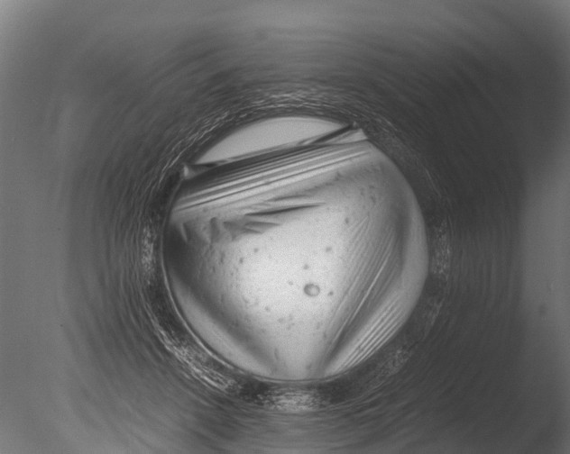 X0000085010456200704021405