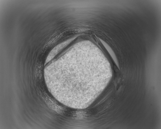 X0000085010462200704021405