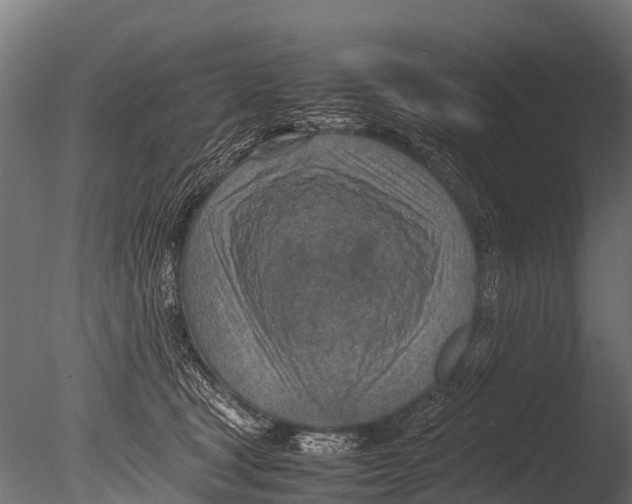 X0000085010465200704021405