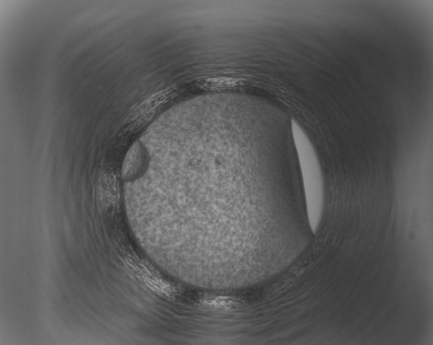 X0000085010467200704021405
