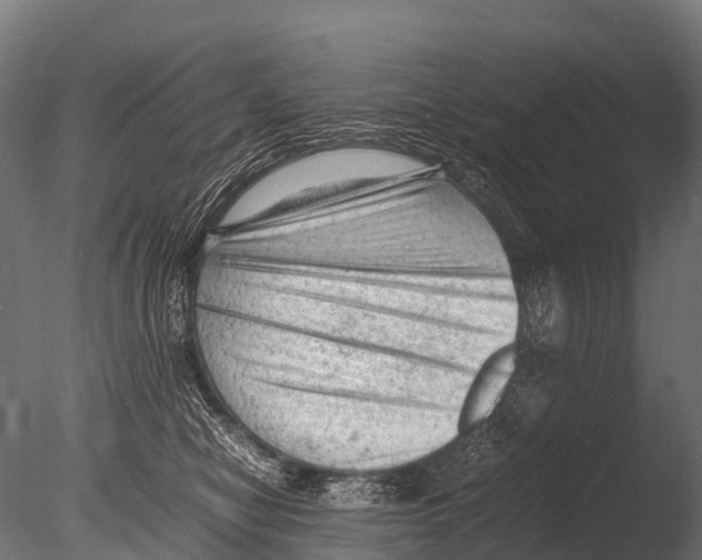 X0000085010470200704021405