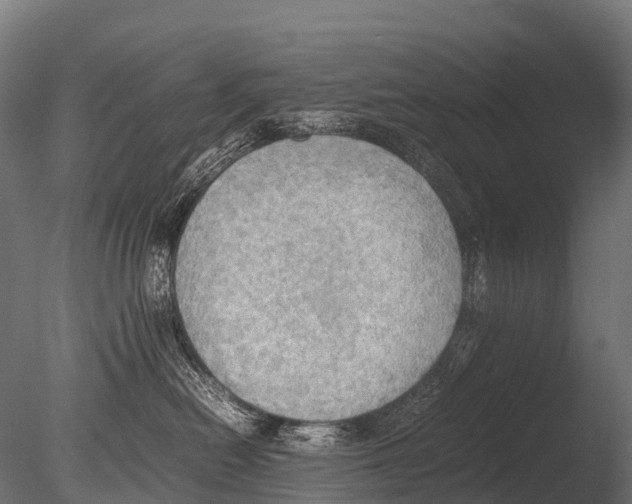 X0000085010478200704021405
