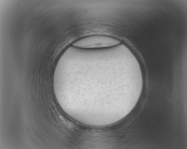 X0000085010481200704021404