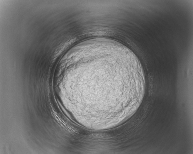 X0000085010482200704021404