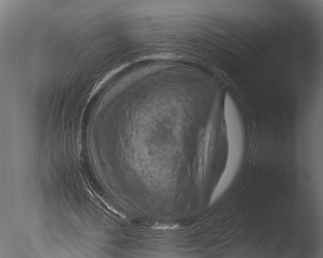 X0000085010484200704021404