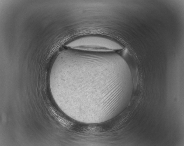 X0000085010493200704021404