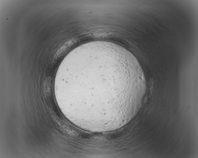 X0000085010495200704021404