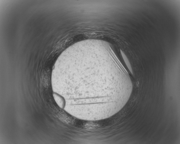 X0000085010515200704021404