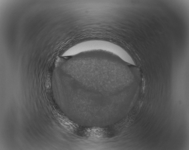 X0000085010517200704021404