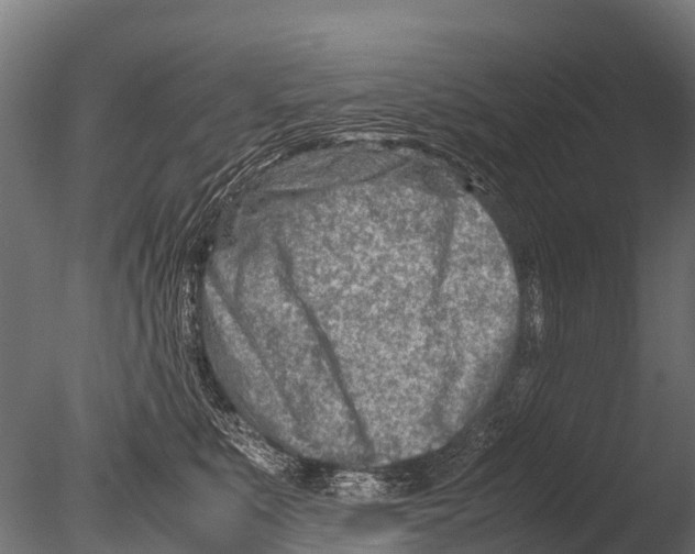 X0000085010519200704021404