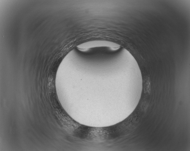 X0000085010521200704021404