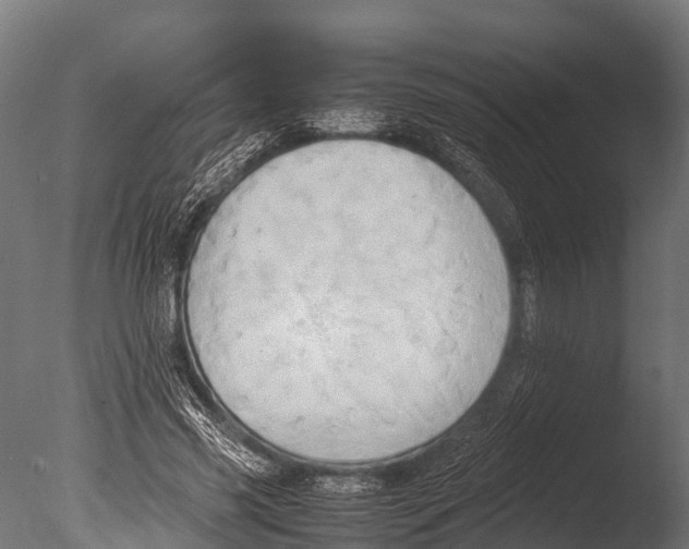 X0000085010541200704021403