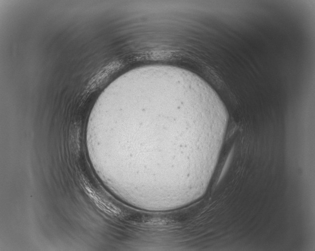 X0000085010542200704021403