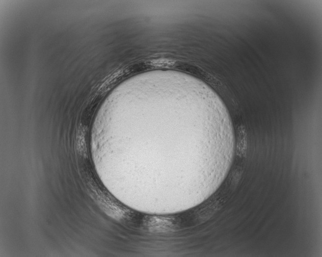 X0000085010573200704021404
