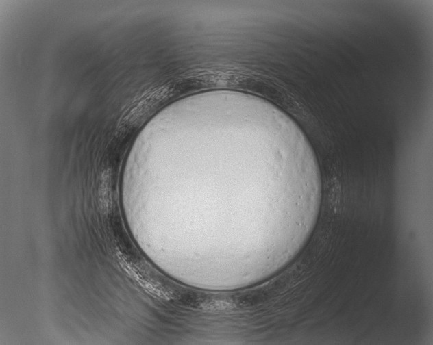 X0000085010594200704021402