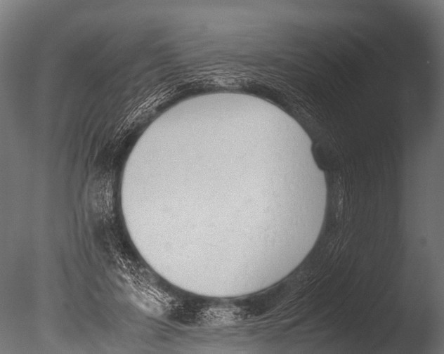 X0000085010595200704021402