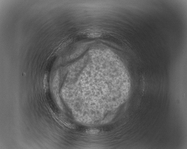 X0000085010598200704021402