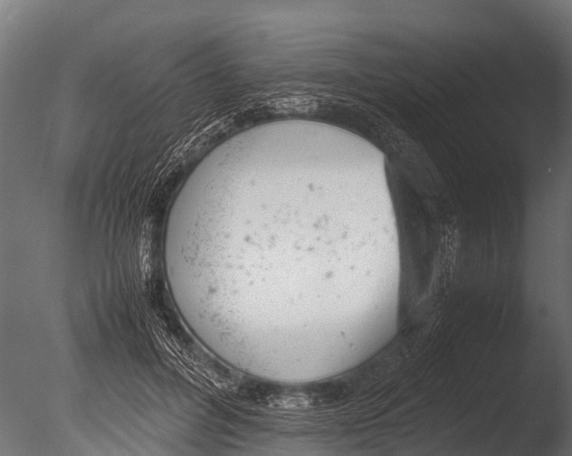 X0000085010600200704021402