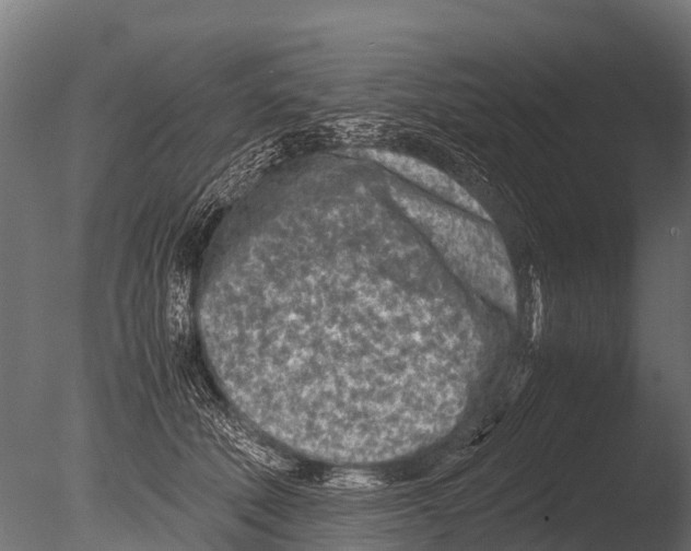 X0000085010610200704021402