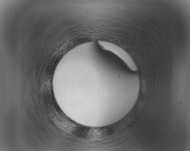 X0000085010613200704021402