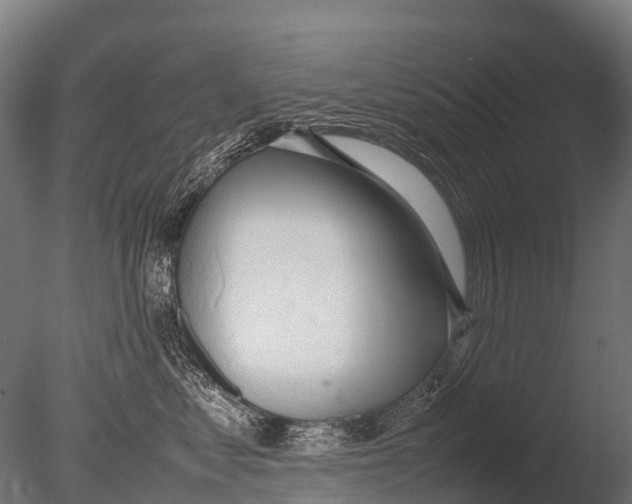 X0000085010621200704021402