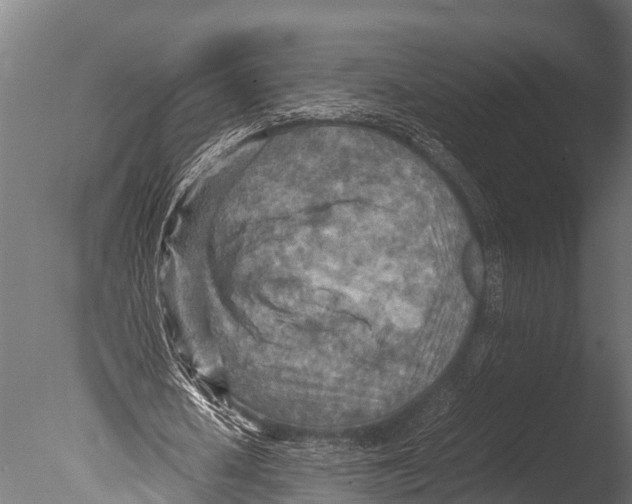 X0000085010626200704021401