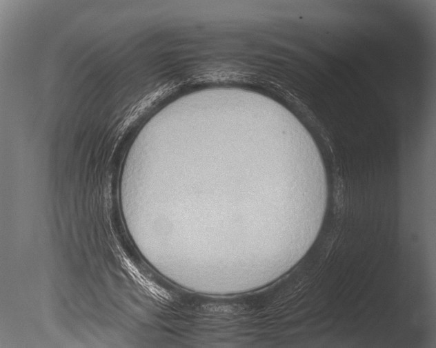 X0000085010629200704021401