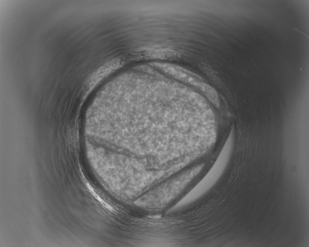 X0000085010630200704021401