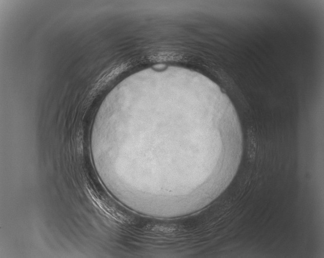 X0000085010631200704021401