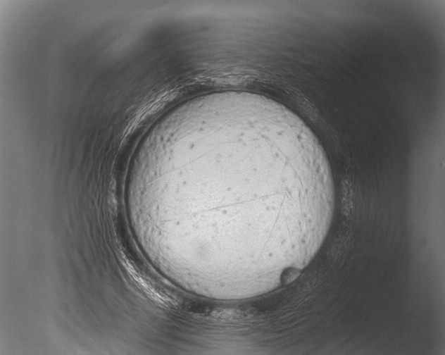 X0000085010634200704021401